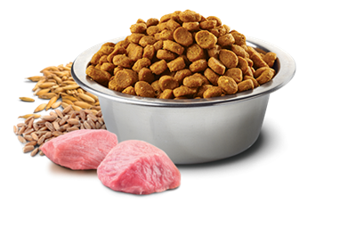 تصویر غذای خشک N&D بدون غلات مخصوص سگ بالغ کلیه نژاد ها حاوی گوشت بره و بلوبری - 2.5 کیلوگرم MEDIUM	