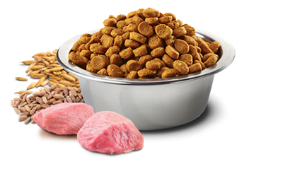 تصویر غذای خشک N&D بدون غلات مخصوص سگ بالغ همه نژادها حاوی گوشت گراز و سیب 2.5 کیلوگرم MEDIUM	