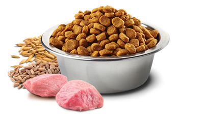 تصویر غذای خشک N&D بدون غلات مخصوص سگ بالغ حاوی گوشت گراز و سیب - 800 گرم
