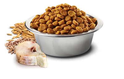 تصویر غذای خشک N&D مخصوص گربه بالغ حاوی ماهی کد و پرتغال 300 گرم