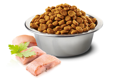 تصویر غذای خشک N&D بدون غلات مخصوص گربه بالغ حاوی ماهی کد و پرتغال - 1.5 کیلوگرم