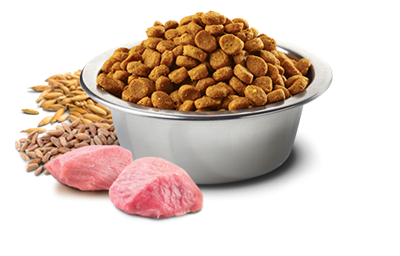 تصویر غذای خشک N&D بدون غلات مخصوص توله سگ نژاد کوچک و متوسط حاوی مرغ و انار 2.5 کیلوگرمی Mini & Medium
