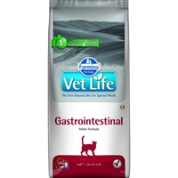 تصویر غذای خشک گربه VetLife مدل Gastrointestinal برای بهبود مشکلات دستگاه گوارشی - 2 کیلوگرم
