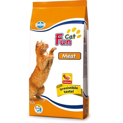 تصویر غذای خشک Fun Cat مخصوص گربه بالغ تهیه شده از گوشت مرغ - 2.4 کیلوگرم