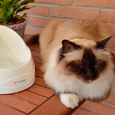 تصویر ظرف آب برقی و تصفیه آب Ferplast برای گربه و سگ مدل Vega Pet Fountain