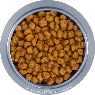 تصویر غذای خشک Royal Canin مخصوص سگ های نژاد ShihTzu بالغ  - ۱.۵ کیلوگرم