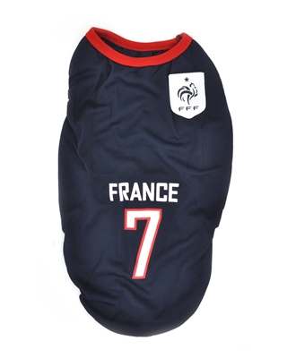 تصویر لباس سگ و گربه با طرح تیم ملی فرانسه 2XL