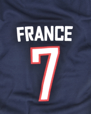 تصویر لباس سگ و گربه با طرح تیم ملی فرانسه XL