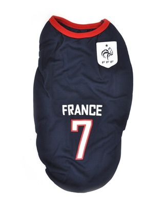 تصویر لباس سگ و گربه با طرح تیم ملی فرانسه L
