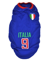 تصویر لباس سگ و گربه با طرح تیم ملی ایتالیا سایز 2XL