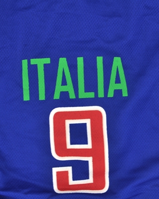 تصویر لباس سگ و گربه با طرح تیم ملی ایتالیا سایز 2XL