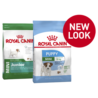 تصویر غذای خشک Royal Canin مدل mini puppy  مخصوص توله های سگ نژاد کوچک  - ۴ کیلوگرم