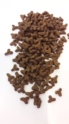 تصویر غذای خشک مخصوص گربه های بالغ Josera مدل SensiCat مناسب برای گربه هایی با دستگاه گوارش حساس - 2 کیلوگرم