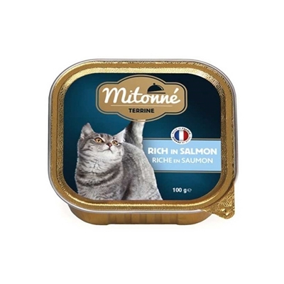 تصویر  ووم گربه Mitonne با طعم سالمون