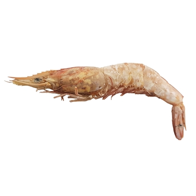 تصویر  تشویقی Sevil pet مدل Shrimp snack مخصوص گربه - 80 گرم
