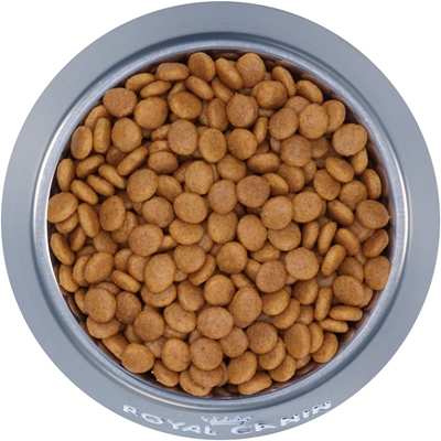 تصویر غذای خشک Royal Canin مدل URINARY S/O مخصوص گربه بالغ مبتلا به سنگ های ادراری - 1.5 کیلوگرم
