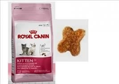تصویر غذای خشک Royal Canin مخصوص بچه گربه - ۲ کیلوگرم