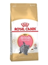 تصویر  غذای خشک Royal Canin مخصوص بچه گربه مدل British Shorthair مناسب برای نژاد بیریتیش - 2 کیلوگرم