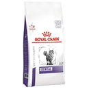 تصویر  غذای خشک Royal Canin مدل Dental مخصوص گربه بالغ - 1.5 کیلوگرم