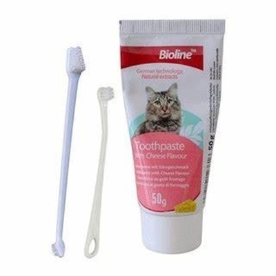 تصویر  ست مسواک و خمیر دندان Bioline مخصوص گربه با طعم پنیر - 50 گرم