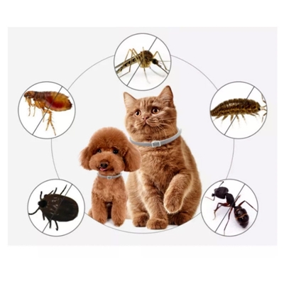 تصویر  قلاده ضد كک و كنه Taotaopets مخصوص سگ و گربه - 38 سانتی متر