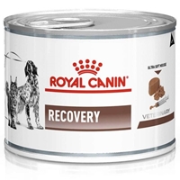تصویر  کنسرو Royal Canin مدل Recovery مخصوص سگ و گربه - 195 گرم