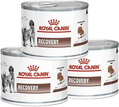 تصویر  کنسرو Royal Canin مدل Recovery مخصوص سگ و گربه - 195 گرم
