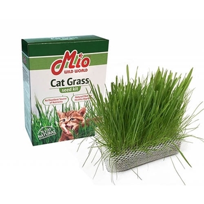 تصویر  بذر علف طبيعی گربه Mio مدل Cat Grass